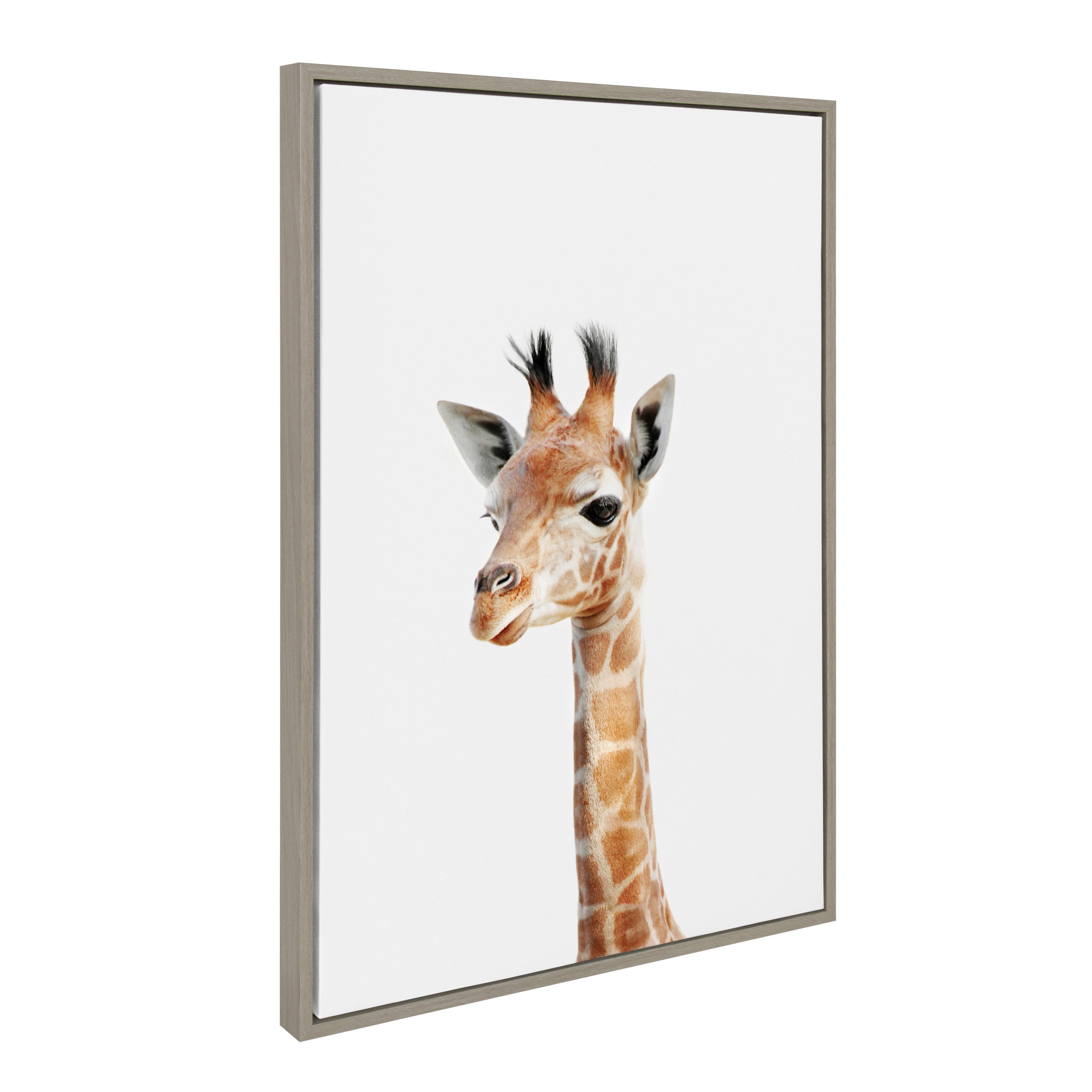 Sylvie Baby Giraffe Framed Canvas by Amy Peterson