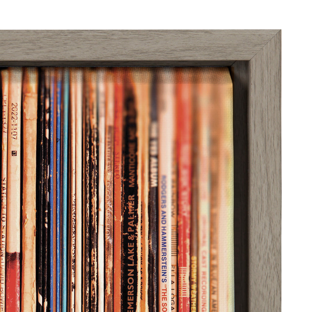 Sylvie Records Framed Canvas by Robert Cadloff of Bomobob