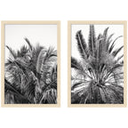 Palm No. 13 & 15 2 Piece Framed Wall Art Print Set by Alicia Bock