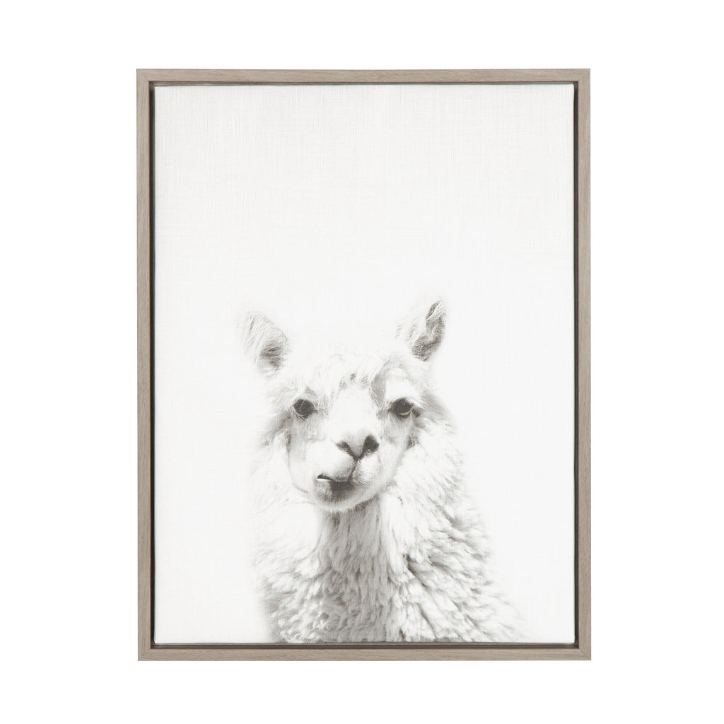 Sylvie Alpaca Framed Canvas by Simon Te of Tai Prints