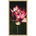 Midnight Lotus Flower by Stephanie Klatt Framed Wall Art Print