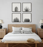 Sylvie Haze Succulent Cactus Short Framed Canvas by The Creative Bunch Studio