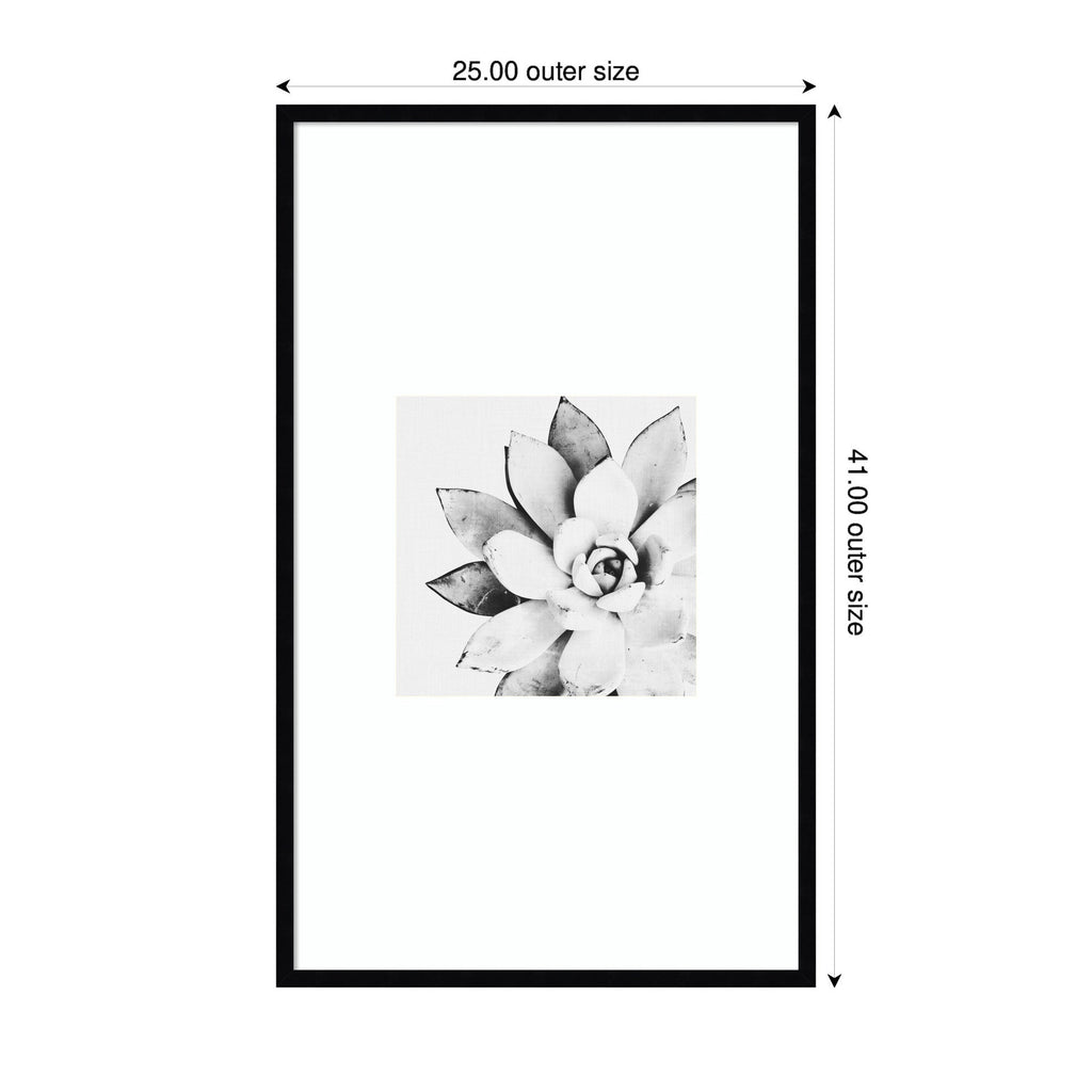 Modern Succulent by Tai Prints Framed Wall Art Print