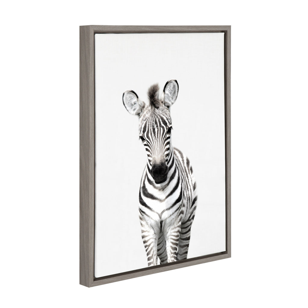 Sylvie Baby Zebra Framed Canvas by Amy Peterson