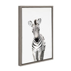 Sylvie Baby Zebra Framed Canvas by Amy Peterson