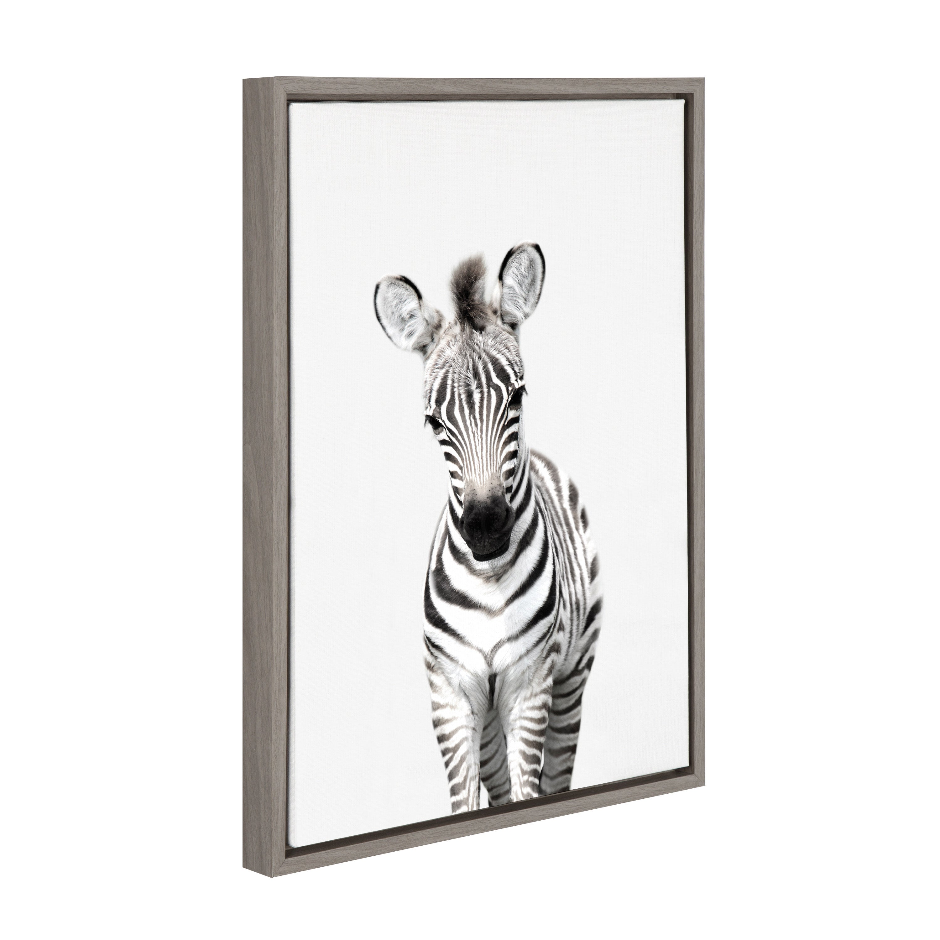 Sylvie Baby Zebra Framed Canvas by Amy Peterson