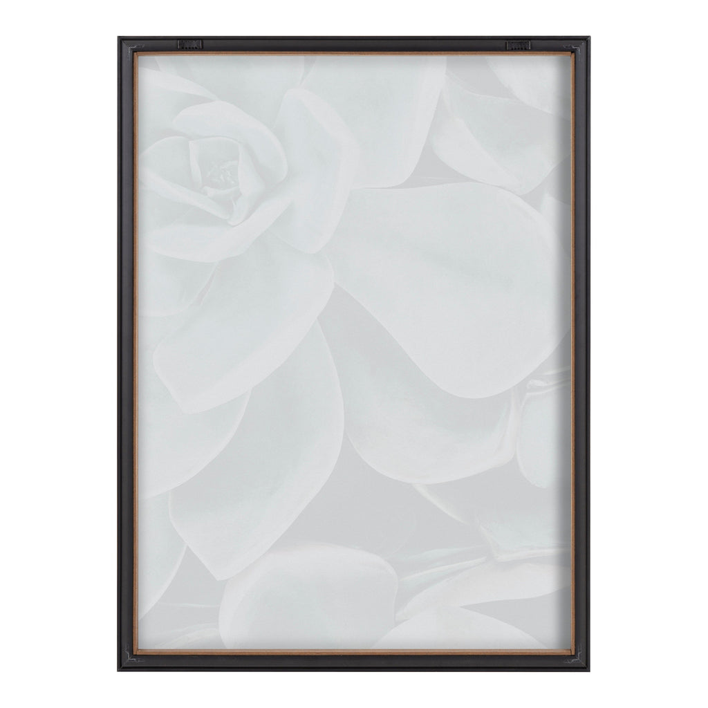 Blake Botanical Succulent Plants 2 Framed Printed Glass by The Creative Bunch Studio