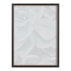 Blake Botanical Succulent Plants 2 Framed Printed Glass by The Creative Bunch Studio
