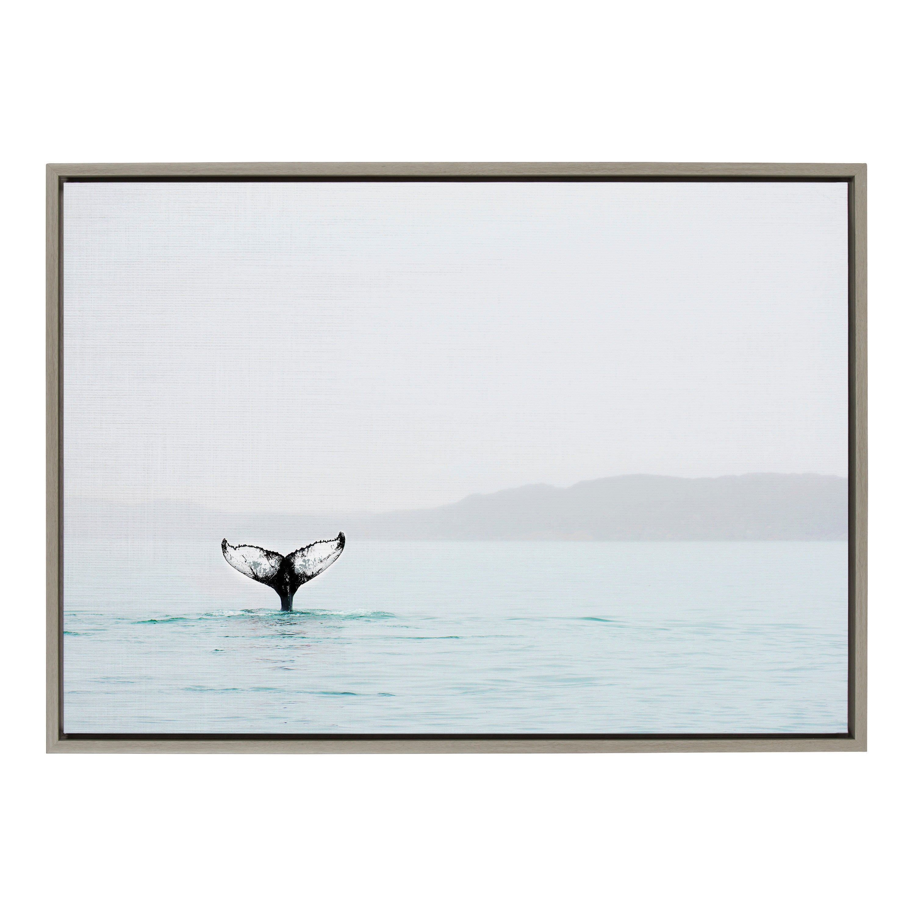 Sylvie Whale Tail In The Mist Framed Canvas by Amy Peterson