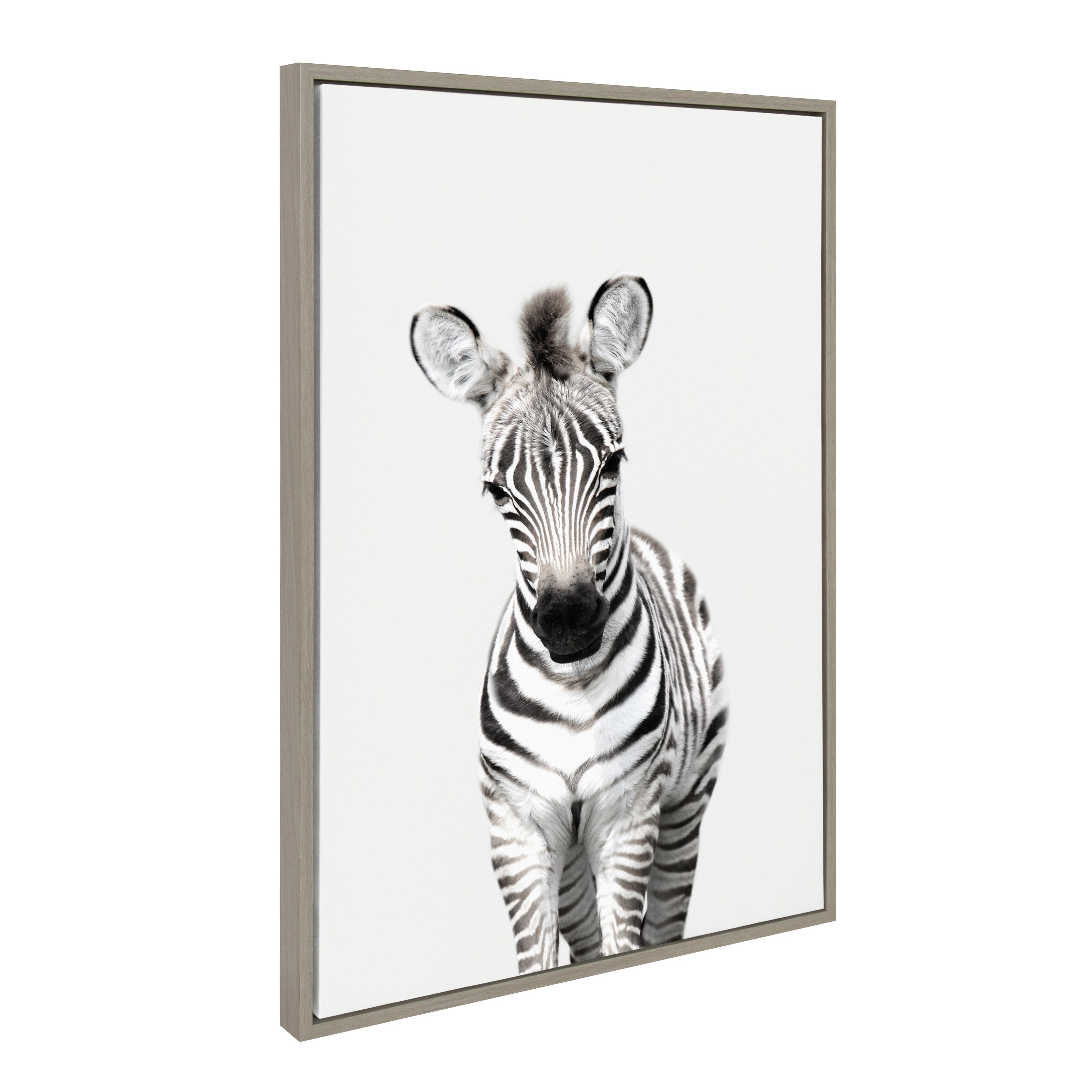Sylvie Baby Zebra Framed Canvas by Amy Peterson