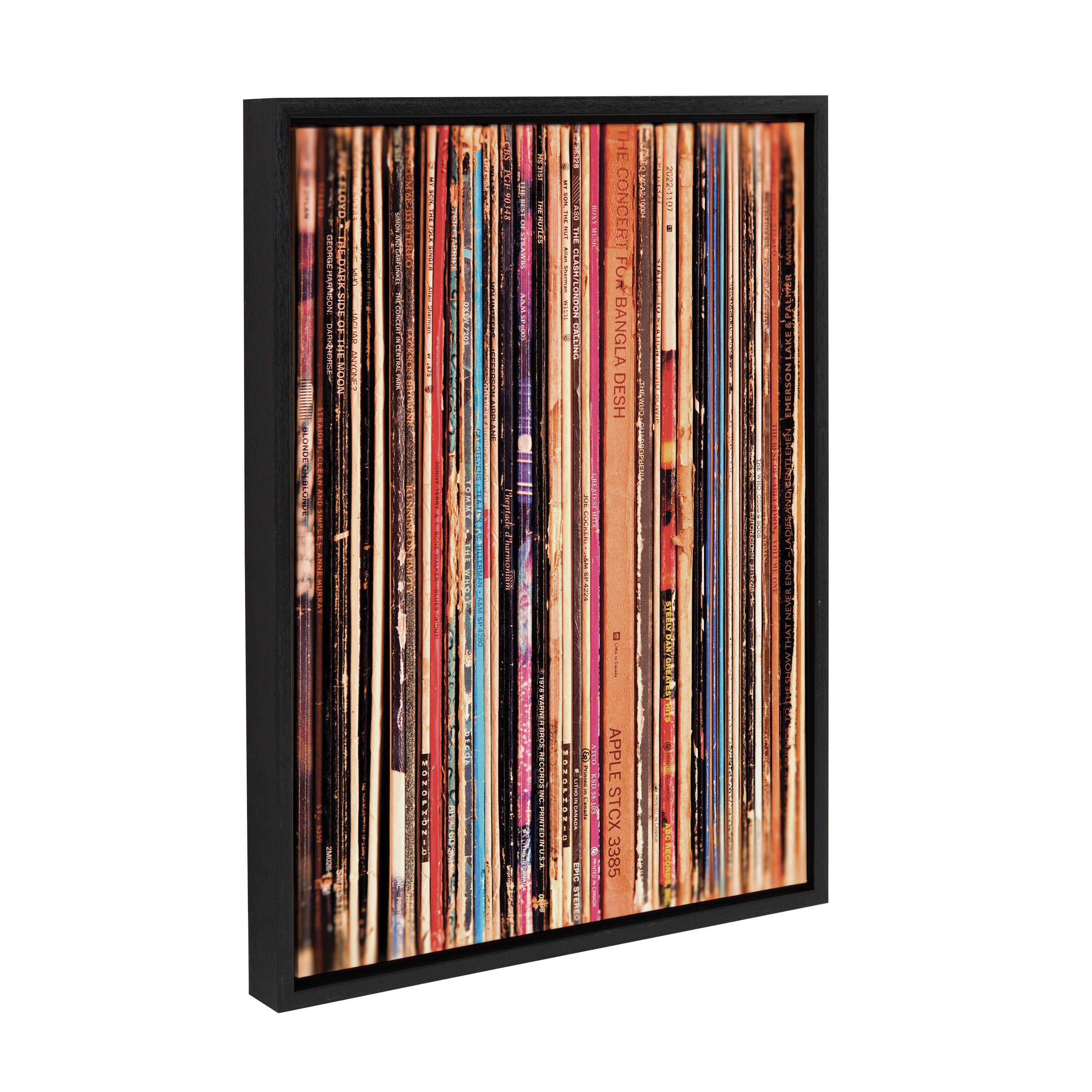 Sylvie Records Framed Canvas by Robert Cadloff of Bomobob