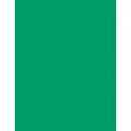 Riverside Paper Companykaleidoscope Laser/Inkjet Paper, 24 Lb.,8-1/2'X11', E. Green