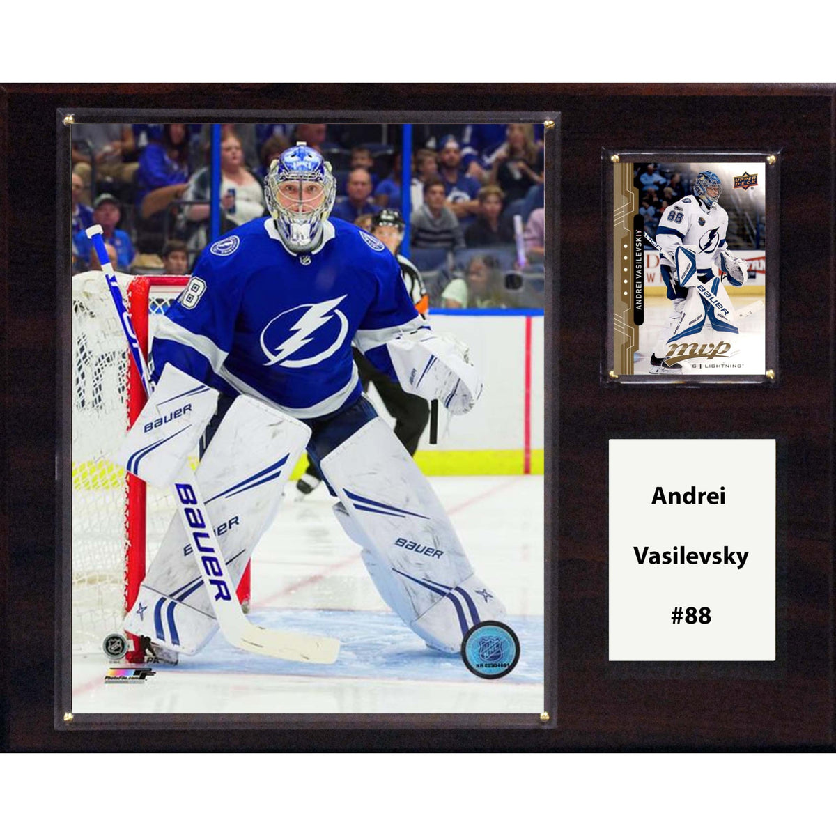 Nhl 12 Inch X15 Inch  Andrei Vasilevsky Tampa Bay Lightning Player Plaque