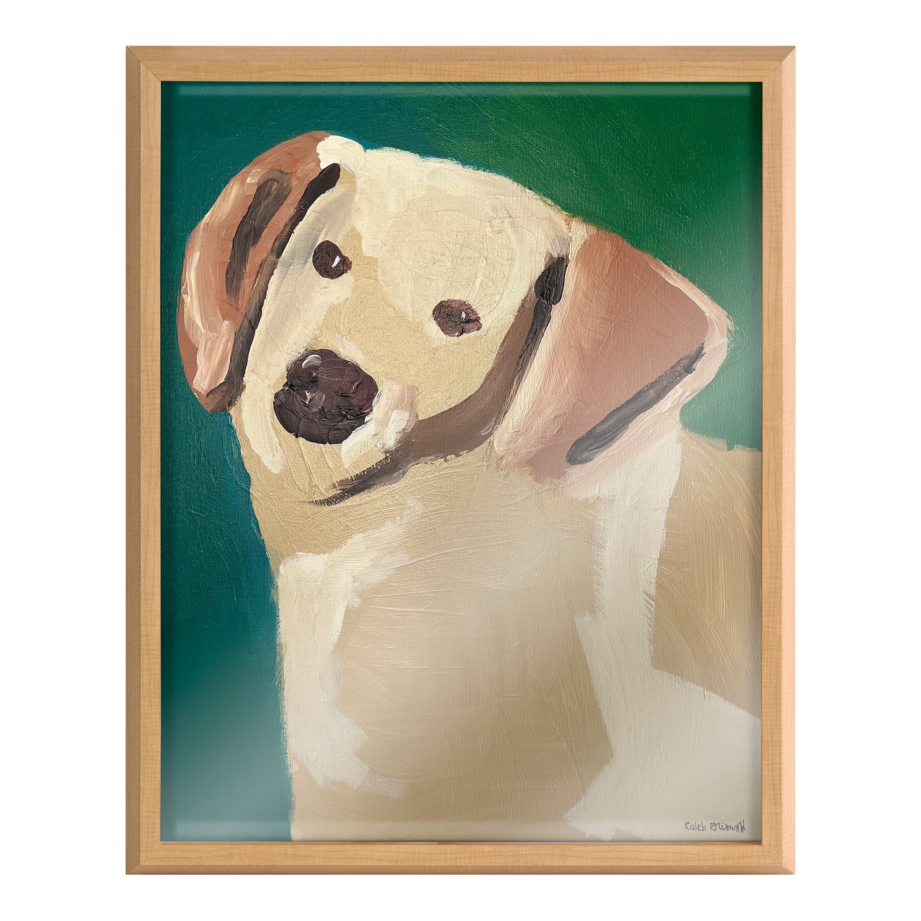 Blake Lily Framed Printed Glass by Caleb Griswold