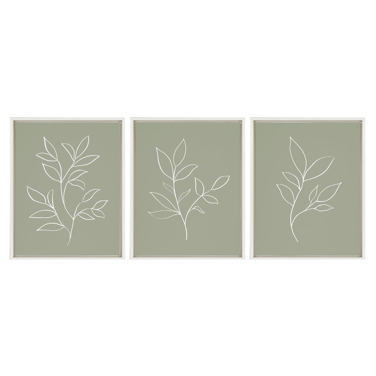 Sylvie Modern Sage Green Botanical Line Sketch Print 1, 2 and 3 Framed Canvas by The Creative Bunch Studio