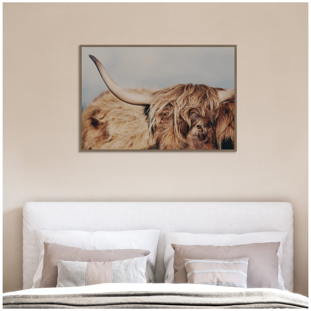 Highland Cow No. 4 Close by Laura Evans Framed Canvas Wall Art Print