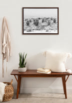 Sylvie Herd of Highland Cows Black and White Framed Canvas by The Creative Bunch Studio