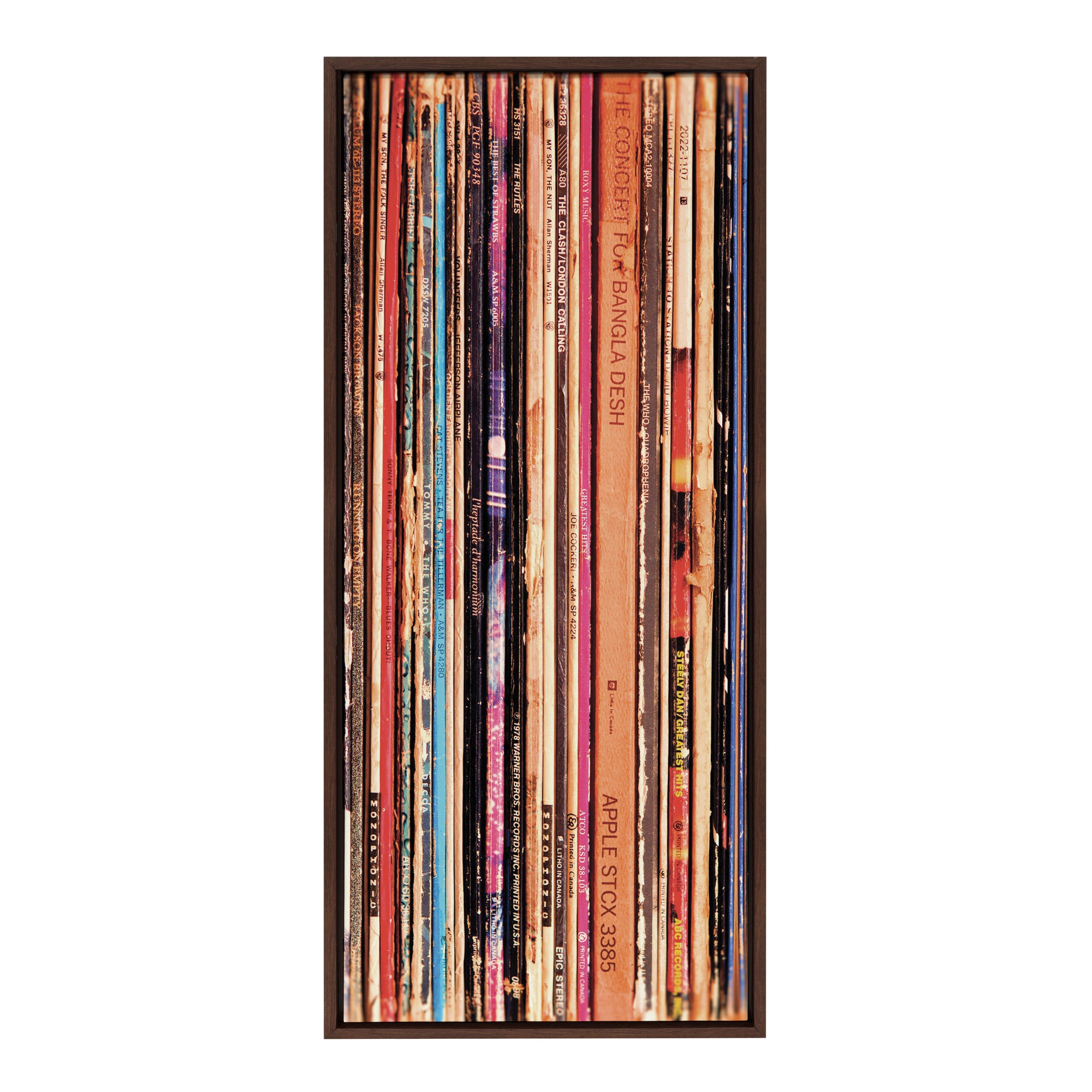 Sylvie Records Framed Canvas by Robert Cadloff of Bomobob