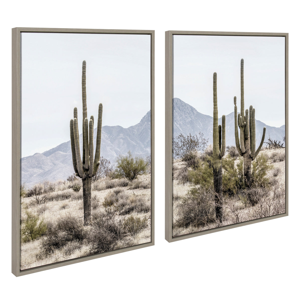 Sylvie Tall Saguaro Cacti Desert Mountain Framed Canvas Set by The Creative Bunch Studio