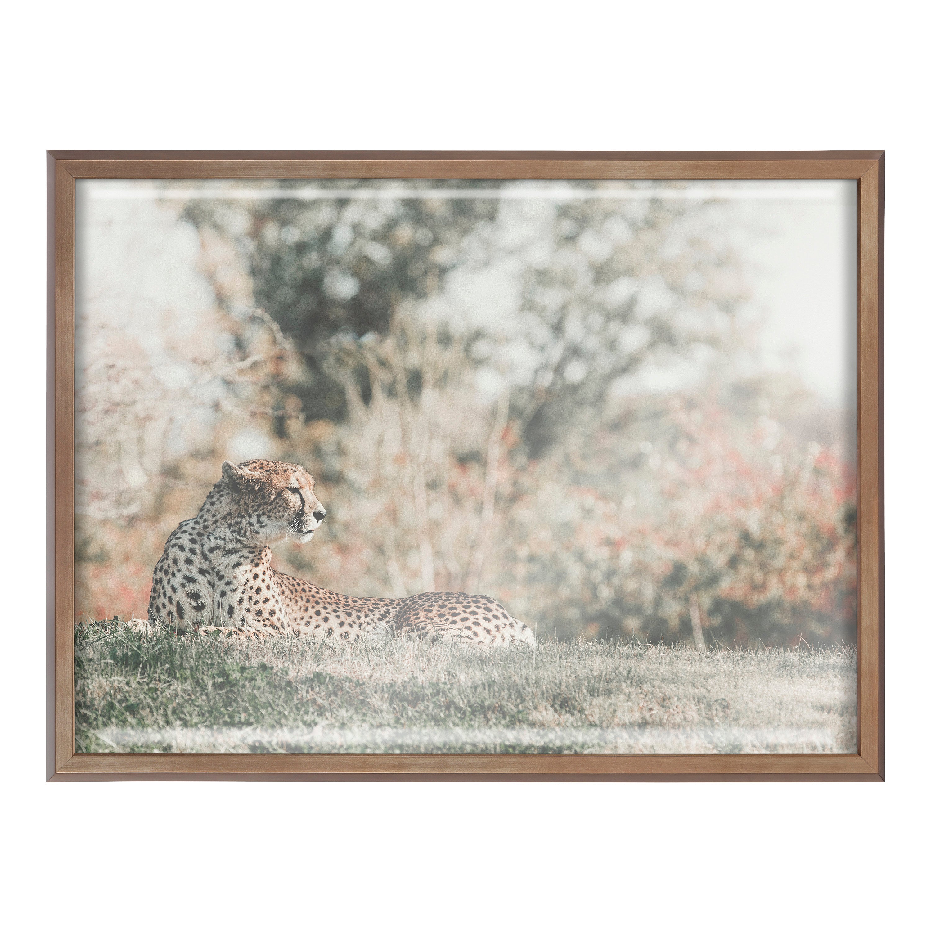 Blake Cheetah Framed Printed Glass by Alicia Abla