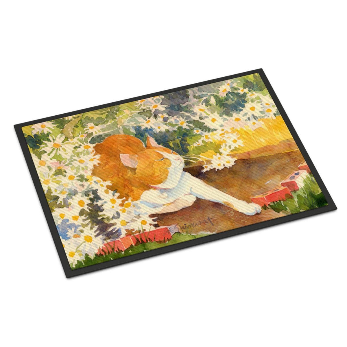 Cat Indoor Or Outdoor Mat 18X27