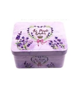53ARTS Storage Box Storage Bin with Lids Kids Storage Bins Metal Piggy Bank Piggy Bank for Kids Decorative Storage Bins Locking 