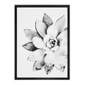 Sylvie Succulent Framed Canvas by Simon Te of Tai Prints