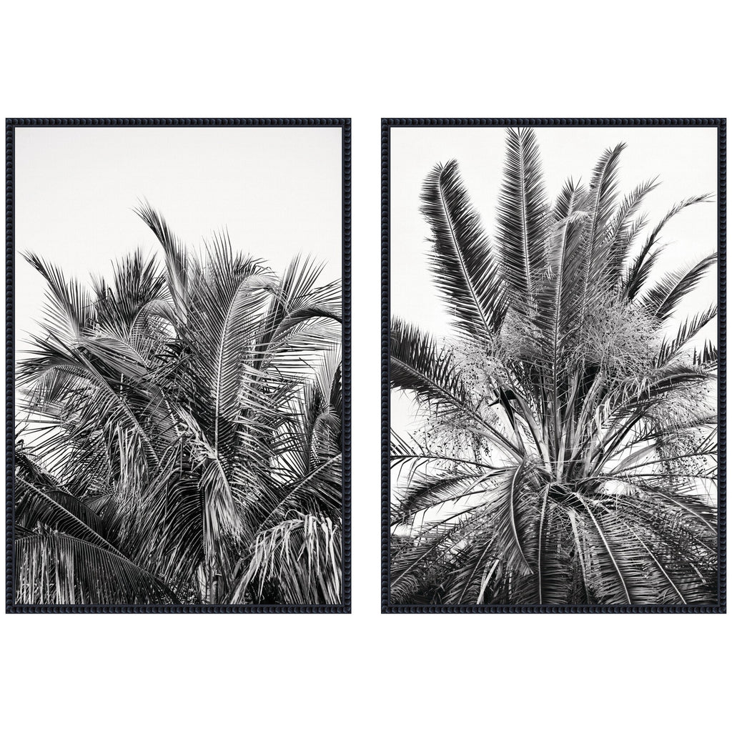 Palms No. 13 & No.15 2 Piece Framed Canvas Wall Art Set by Alicia Bock