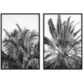 Palms No. 13 & No.15 2 Piece Framed Canvas Wall Art Set by Alicia Bock