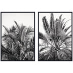 Palms No. 13 & No.15 2 Piece Framed Canvas Wall Art Set by Alicia Bock