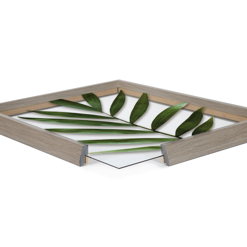 Blake Botanical 5F Framed Printed Glass by Amy Peterson