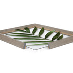Blake Botanical 5F Framed Printed Glass by Amy Peterson