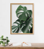 Blake Monstera leaves Framed Printed Glass by Amy Peterson Art Studio