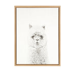 Sylvie Hairy Alpaca Framed Canvas by Simon Te of Tai Prints