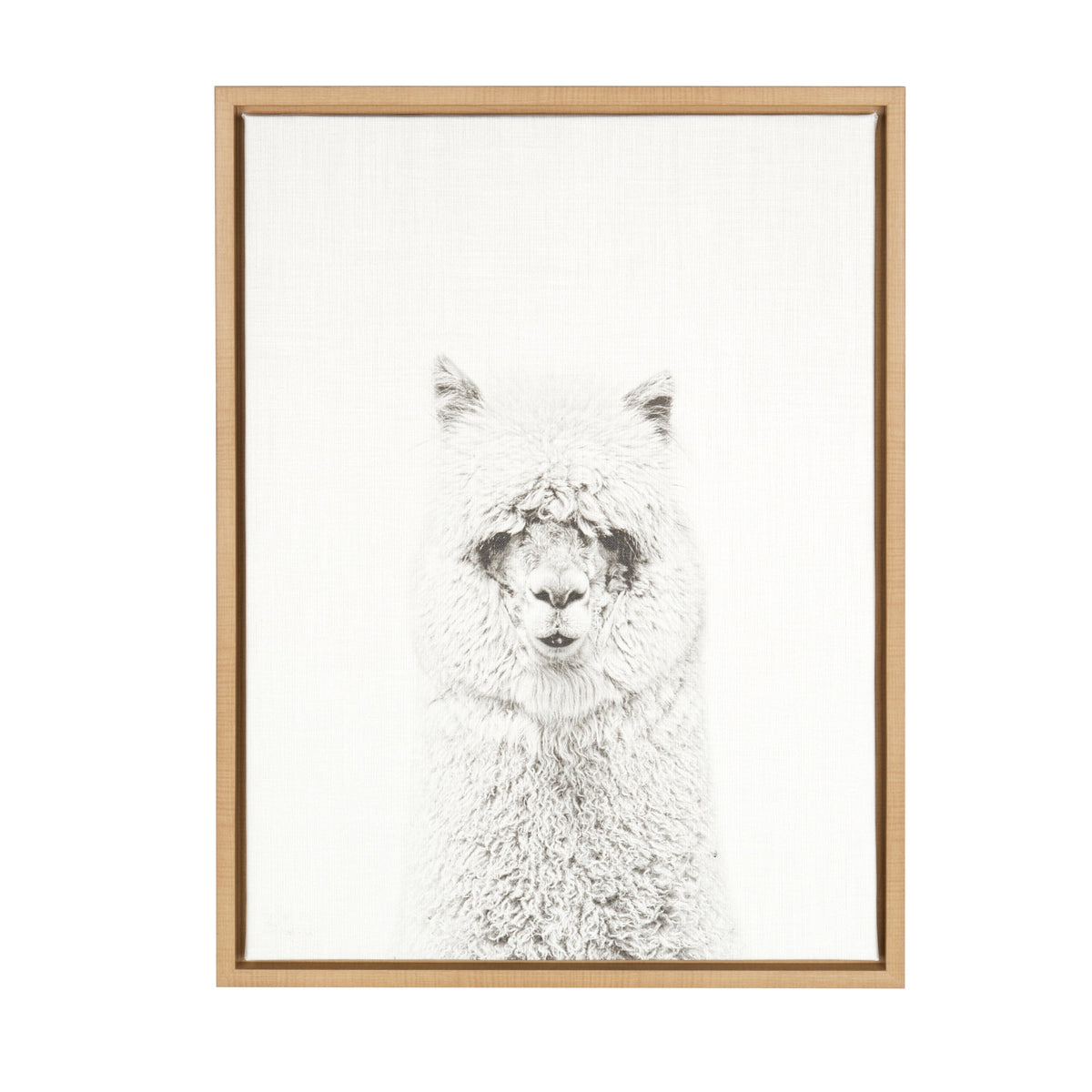Sylvie Hairy Alpaca Framed Canvas by Simon Te of Tai Prints