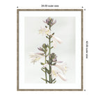 Framed Art Hosta by Alicia Abla
