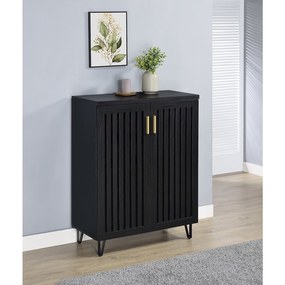 Brixton 2door Entryway Shoe Storage Cabinets Black