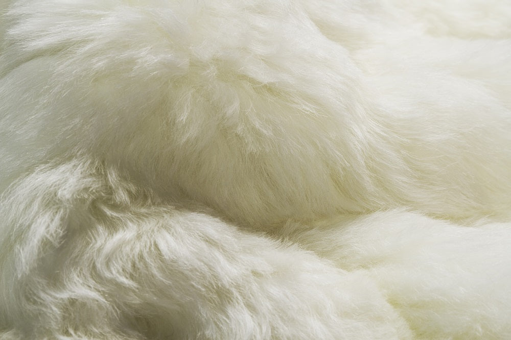 2 X 3 White Animal Print Area Rug