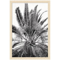 No 15 by Alicia Bock Framed Wall Art Print