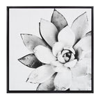 Sylvie Succulent Framed Canvas by Simon Te of Tai Prints