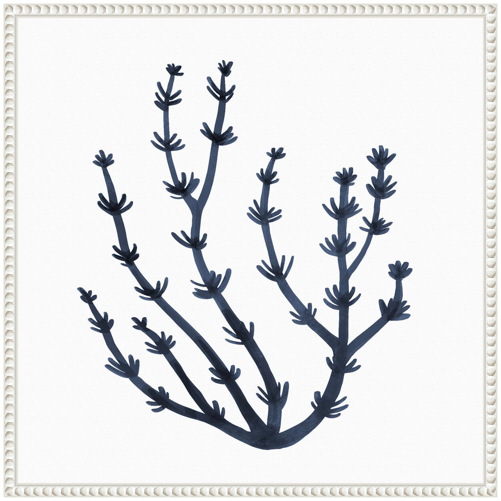 Sylvie Coastal Coral Seaweed Botanical 6 Framed Canvas by The Creative Bunch Studio