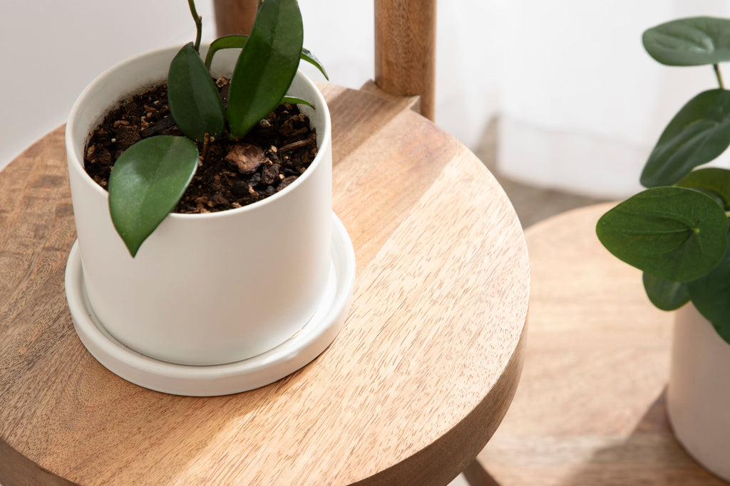 Fitley Wooden Plant Stand