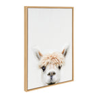 Sylvie Alpaca Bangs Framed Canvas by Amy Peterson Art Studio
