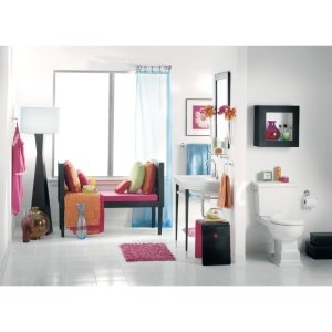 Moen Dn7708Ch Lounge Collection Single Post European Toilet Paper Holder With Hardware, Chrome