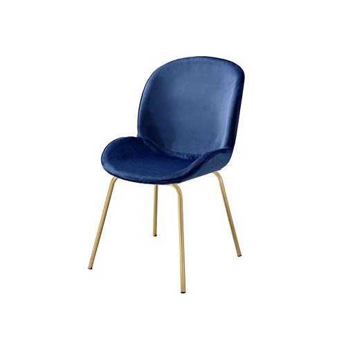 Acme Chuchip Velvet Upholstered Side Chair in Blue and Gold