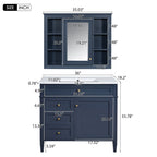 Bathroom Vanity With Mirror Cabinet, Single Sink With 2 Soft Closing Doors And 4 Drawers
