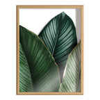 Blake Tropical Palm Leaves Framed Printed Glass by Amy Peterson Art Studio