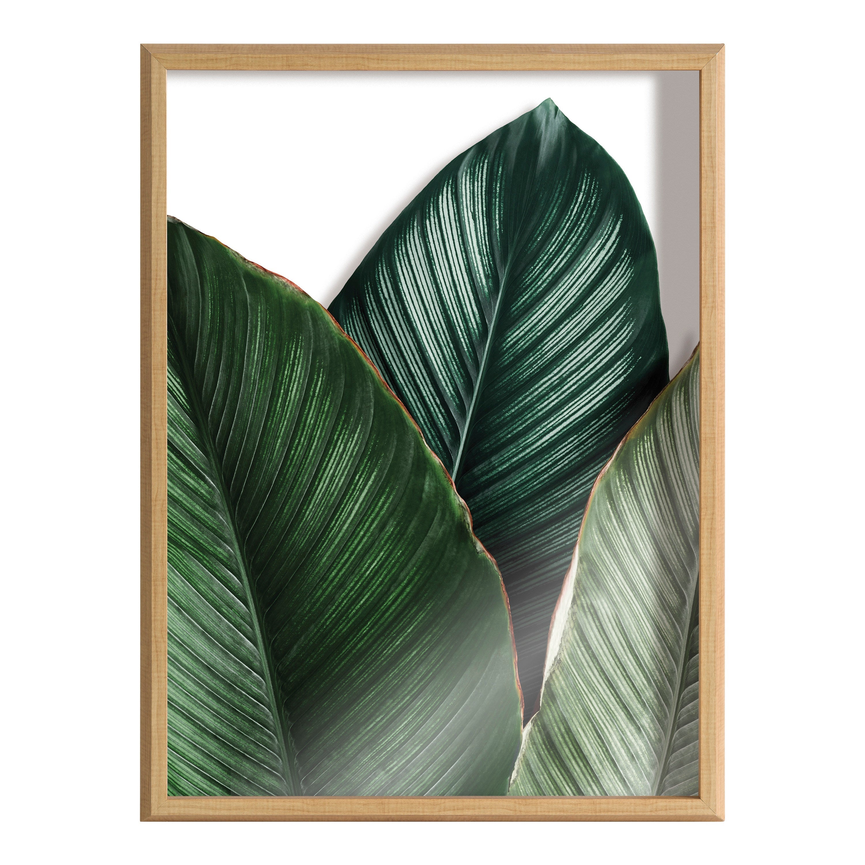 Blake Tropical Palm Leaves Framed Printed Glass by Amy Peterson Art Studio