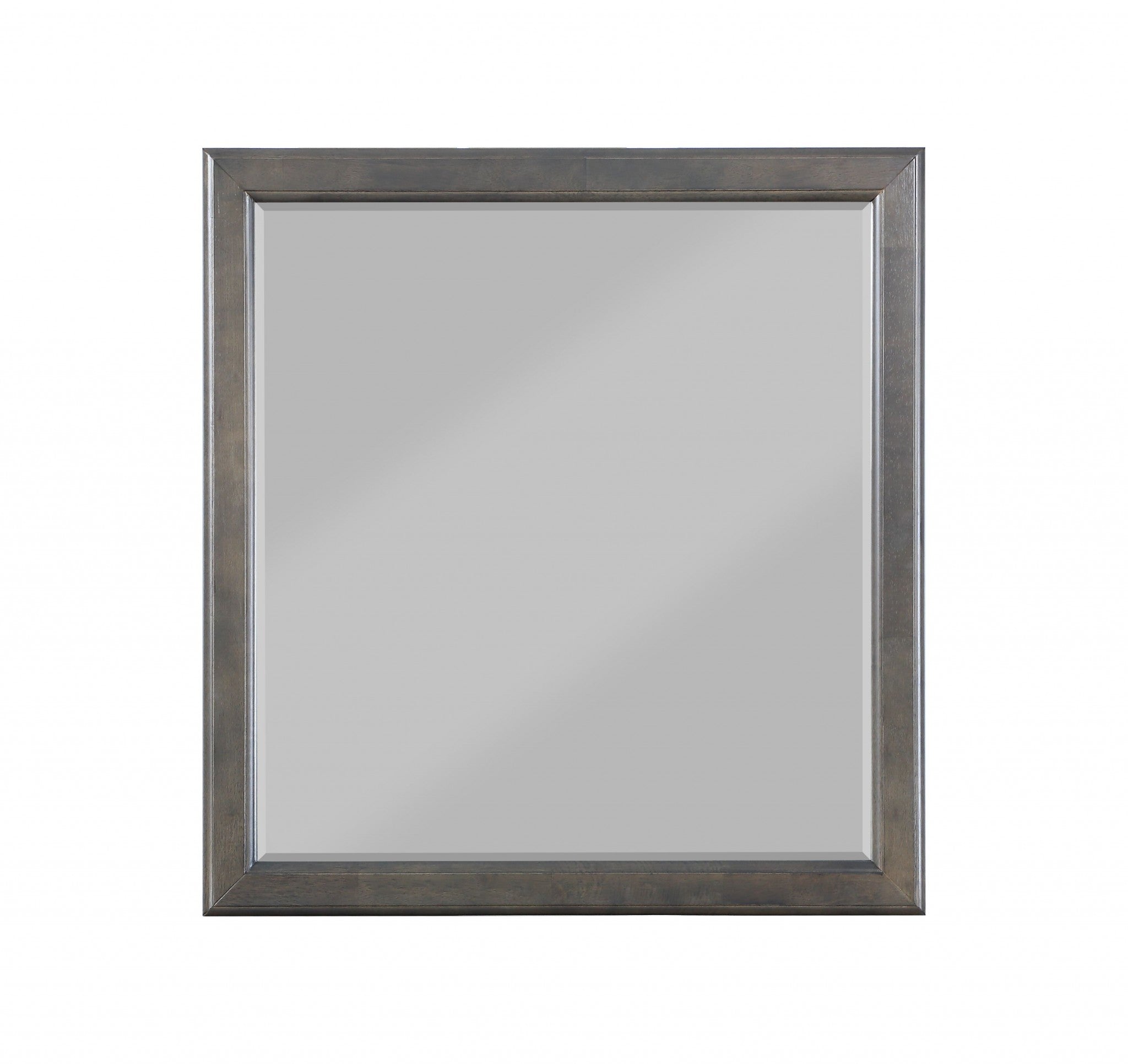 38 Rectangle Wall Mounted Accent Mirror