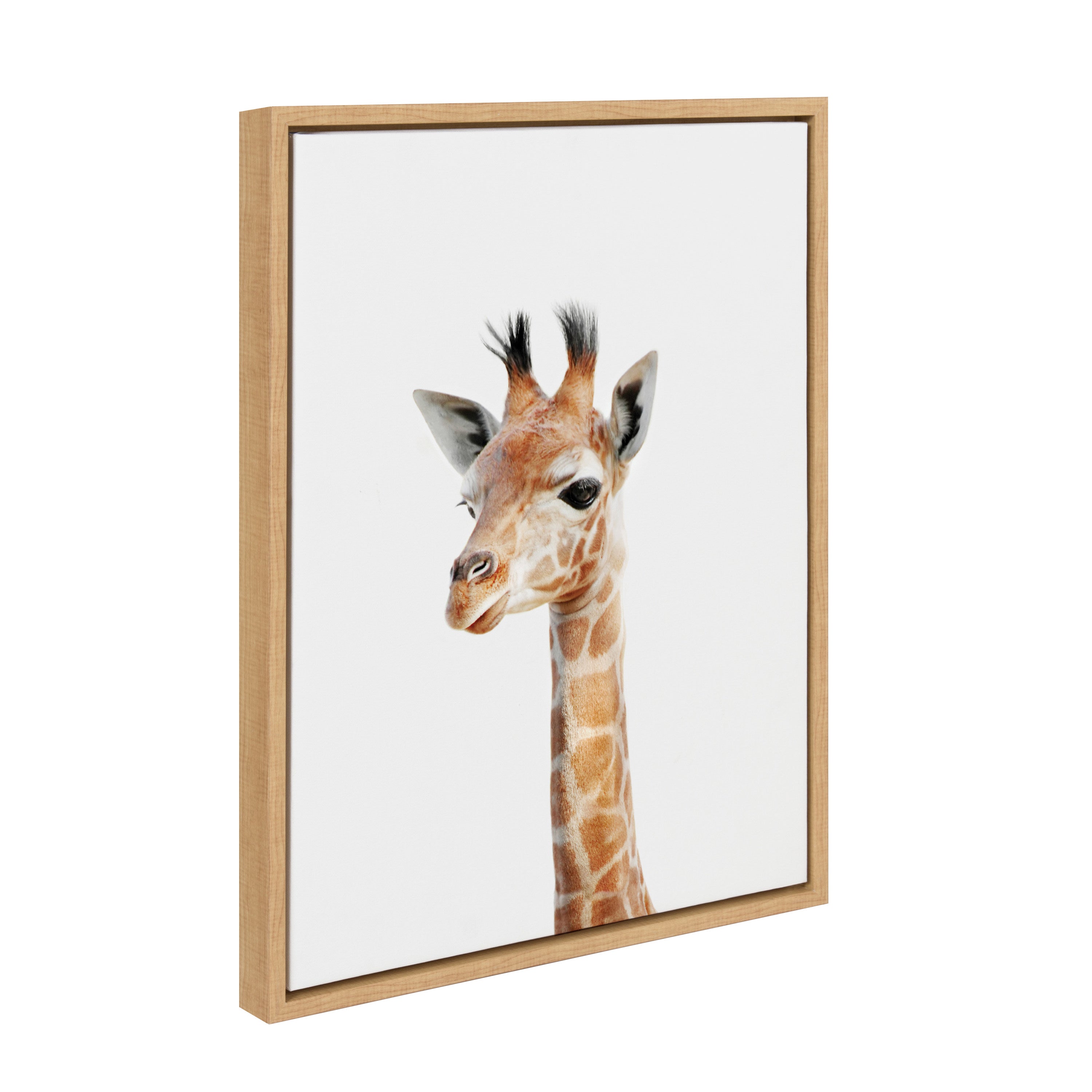 Sylvie Baby Giraffe Framed Canvas by Amy Peterson